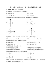 2020-2021学年黑龙江省哈尔滨市第十七中学八年级（下）期中教学质量检测数学试卷