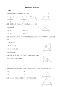 2022河北中考数学总复习专项练习 图形的初步认识与三角形