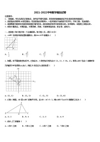 2021-2022学年广西北部湾经济区市级名校中考数学全真模拟试卷含解析