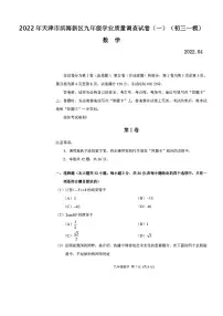 2022年天津市滨海新区九年级学业质量调查试卷（一）数学试卷含答案（初三一模）