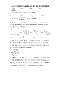 2022年江西省赣州市石城县九年级学生数学综合素养试题(word版含答案)