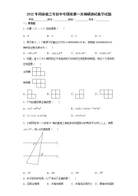 2022年河南省兰考县中考模拟第一次调研测试数学试题(word版含答案)