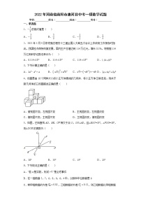 2022年河南省南阳市唐河县中考一模数学试题(word版含答案)