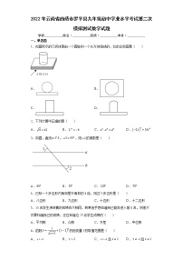 2022年云南省曲靖市罗平县九年级初中学业水平考试第二次模拟测试数学试题(word版含答案)