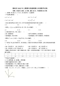 江西省萍乡市湘东区2021-2022学年七年级下学期期中数学试题