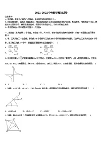 2021-2022学年河北省邢台市第二十五中学毕业升学考试模拟卷数学卷含解析