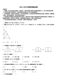 2021-2022学年衡水市滏阳中学中考数学全真模拟试题含解析