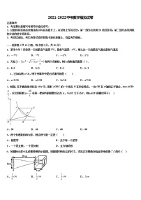 2021-2022学年湖北省武汉市新观察重点达标名校中考数学模拟精编试卷含解析