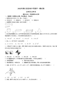 2022年浙江省台州市玉环市初中毕业升学模拟考试（一模）数学试题(word版含答案)