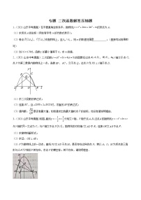 专题11 二次函数解答压轴题（解析版）