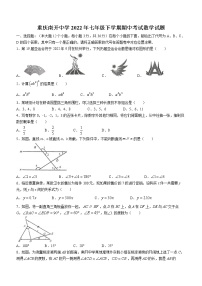 重庆南开中学2022年七年级下学期期中考试数学试题