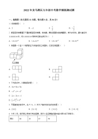 四川省泸州市龙马潭区2022年九年级下学期期中数学试题