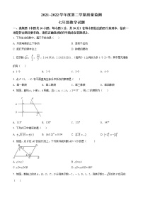 江苏省南通市启东市2021-2022学年七年级下学期期中数学试题