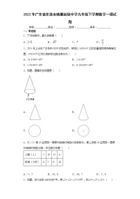 2022年广东省东莞市塘厦初级中学九年级下学期数学一模试题(word版含答案)