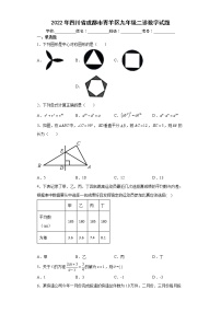 2022年四川省成都市青羊区九年级二诊数学试题(word版含答案)