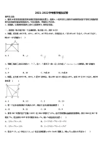2021-2022学年辽宁省沈阳市和平区重点名校中考数学仿真试卷含解析