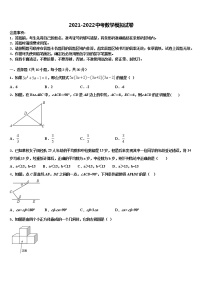 2021-2022学年山东省枣庄市薛城区初中数学毕业考试模拟冲刺卷含解析