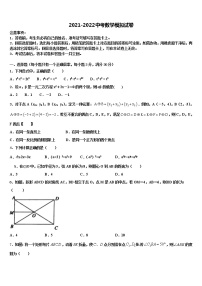 2021-2022学年陕西省咸阳市陕科大重点达标名校中考三模数学试题含解析