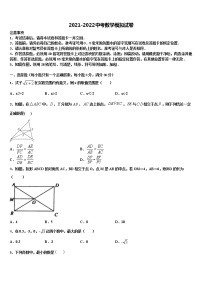 2021-2022学年陕西省宝鸡市高新区重点达标名校中考数学对点突破模拟试卷含解析