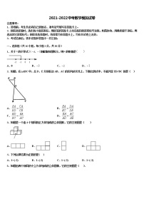 2021-2022学年四川雅安天立校中考数学仿真试卷含解析