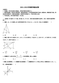 2021-2022学年石狮七中学十校联考最后数学试题含解析