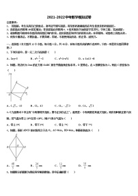 2021-2022学年新疆兵团农二师华山中学初中数学毕业考试模拟冲刺卷含解析