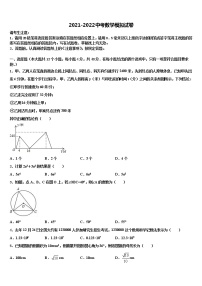 2022届安徽省巢湖市达标名校中考联考数学试题含解析