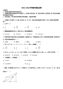 2022届安徽省宿州砀山县联考中考数学适应性模拟试题含解析