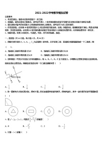 2022届安徽阜阳鸿升中学中考数学模拟精编试卷含解析