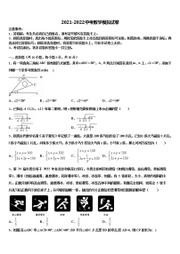 2022届广东省深圳市龙岗区大鹏新区华侨中学中考数学模拟预测试卷含解析