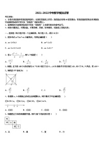 2022届广东省深圳市石岩公学重点中学中考二模数学试题含解析