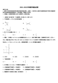 2022届广东省深圳市宝山区重点名校中考数学模拟预测试卷含解析