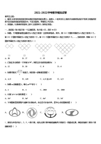 2022届贵州省兴义市中考数学对点突破模拟试卷含解析