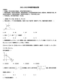 2022届广东省深圳市龙岗区德琳校中考数学押题试卷含解析