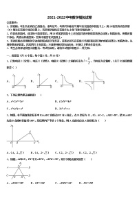 2022届湖南省株洲市攸县重点名校中考数学模试卷含解析