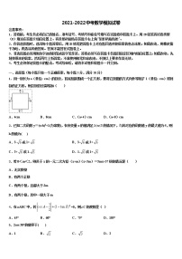 2022届江苏省苏北地区中考适应性考试数学试题含解析