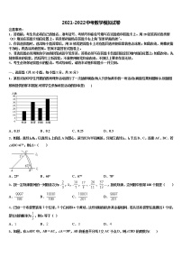 2022届湖南望城金海校中考数学模试卷含解析