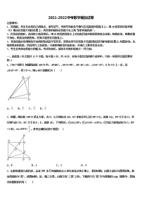 2022届湖南省娄底市实验中学中考数学模拟预测题含解析