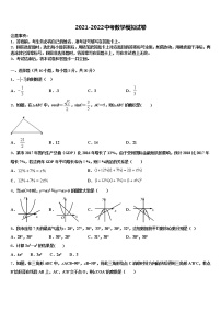 2022届湖北省武汉市六中学致诚中学中考三模数学试题含解析