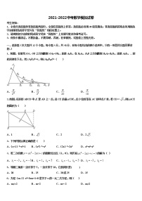 2022届河北省宁晋县达标名校中考数学猜题卷含解析