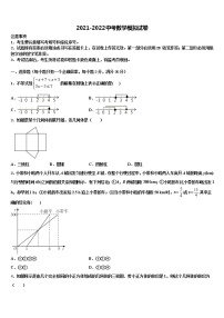 2022届湖北省襄阳市枣阳县中考二模数学试题含解析