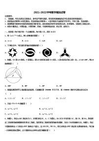 2022届湖北省阳新县重点达标名校中考数学模拟精编试卷含解析