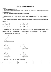 2022届湖北省广水市达标名校中考适应性考试数学试题含解析