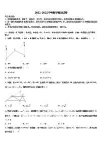 2022届黑龙江省鹤岗市绥滨一中学中考冲刺卷数学试题含解析