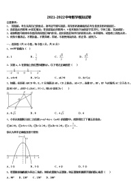 2022届河南省郑州市郑州枫杨外国语校中考数学押题卷含解析