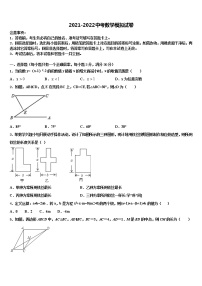 2022届湖北省荆州松滋市中考数学押题卷含解析