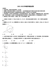 2022届湖南省长沙市望城县中考二模数学试题含解析