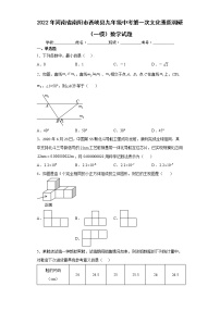 2022年河南省南阳市西峡县九年级中考第一次文化素质调研（一模）数学试题(word版含答案)