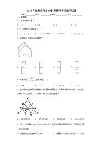 2022年江西省萍乡市中考模拟考试数学试题(word版含答案)