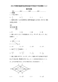 2022年陕西省咸阳市武功县初中学业水平考试模拟（二）数学试题(word版含答案)